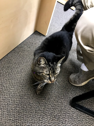 Car Dealer «Troncalli Chrysler-Jeep-Dodge-Ram», reviews and photos, 818 Atlanta Hwy, Cumming, GA 30040, USA