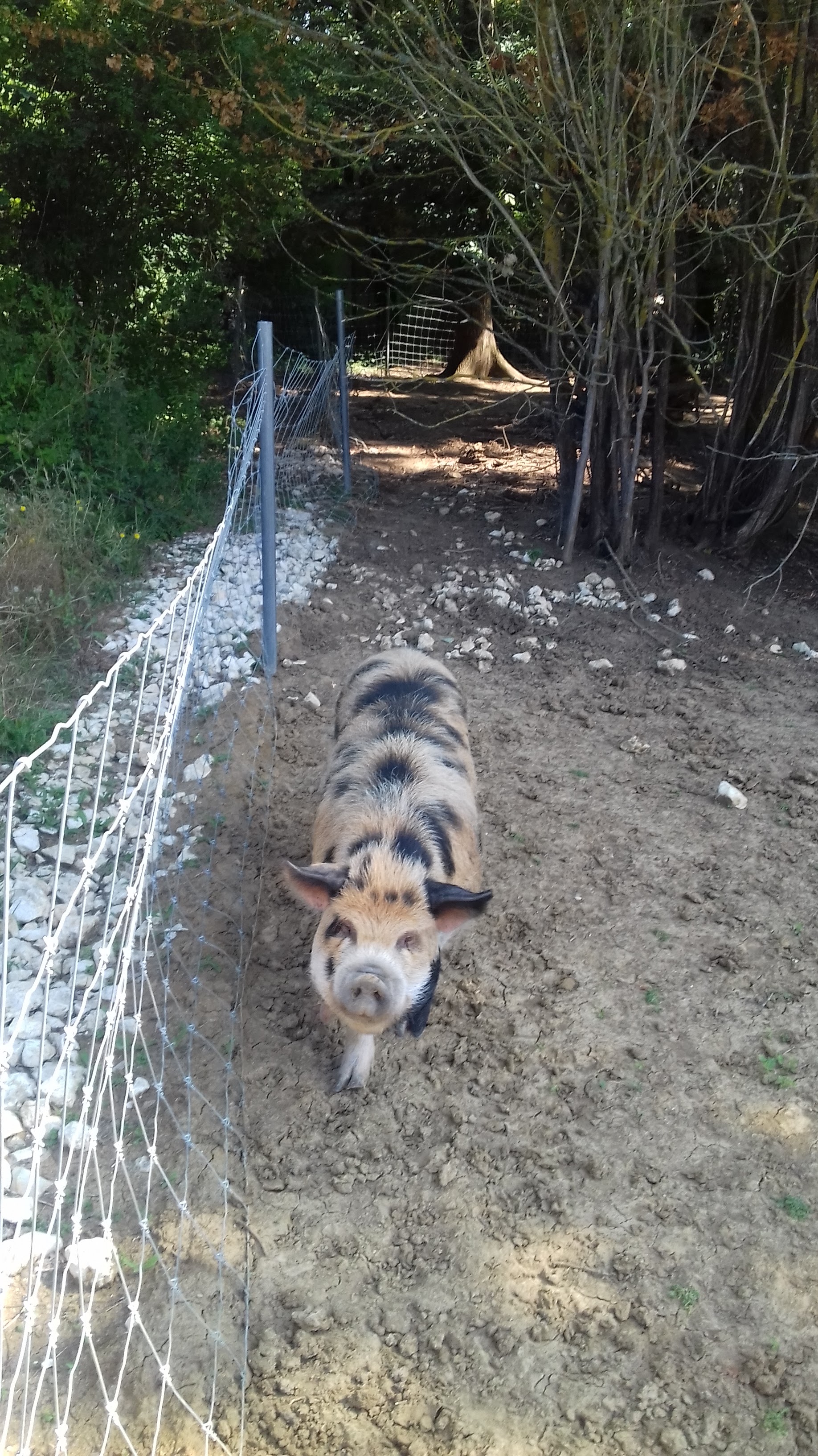 Photo n° 43 de l'avis de Laurent.o fait le 20/08/2018 à 10:25