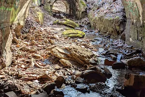 Dead Man's Hollow Conservation Area image