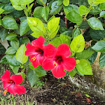 Photo n°6 de l'avis de Christian.e fait le 28/08/2023 à 11:03 sur le  Villaggio Il Gabbiano à Capo Vaticano