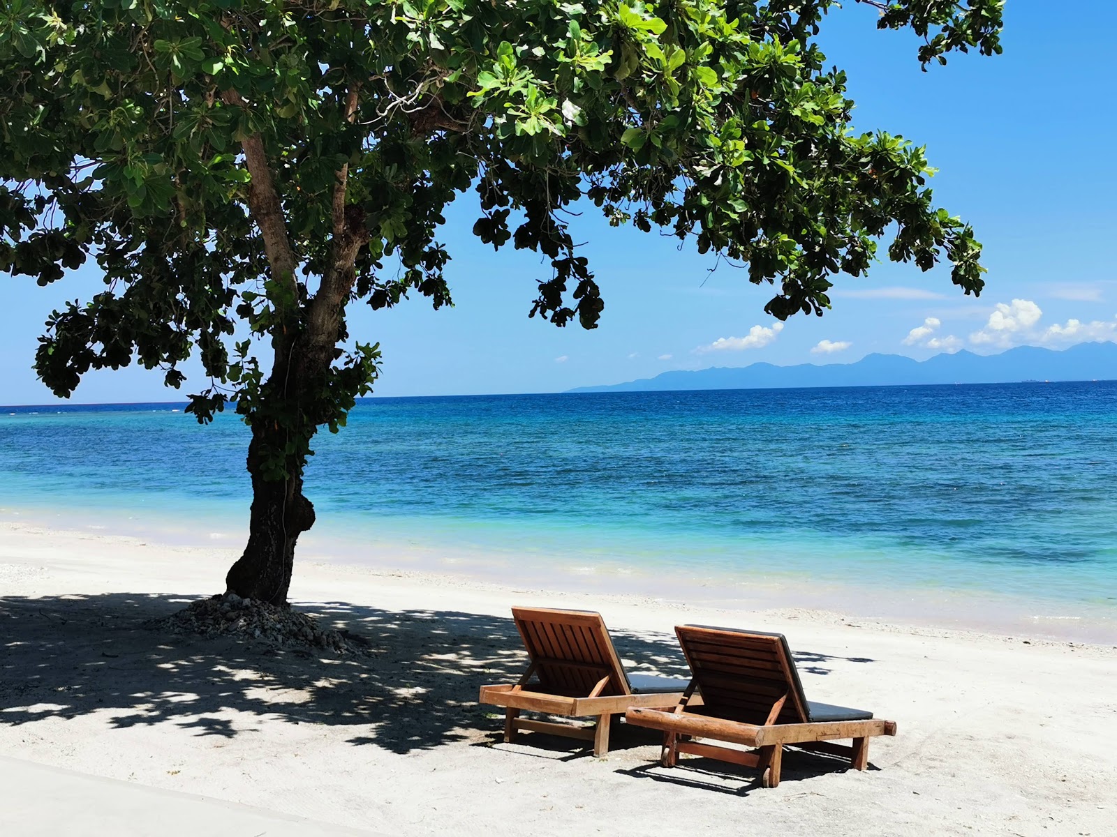 Cocotinos Sekotong Beach'in fotoğrafı kısmen otel alanı