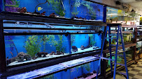 Fish 4 U - Photo 8 - Car repair in Millcreek, UT, Salt Lake City