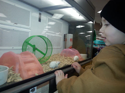 Pet Supply Store «Petco Animal Supplies», reviews and photos, 1450 Twixt Town Rd, Marion, IA 52302, USA