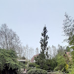 Photo n°3 de l'avis de Katja.i fait le 19/04/2024 à 19:14 sur le  Restaurant im Koigarten Burg à Burg