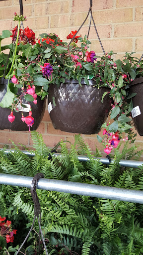 Supermarket «Weis Markets», reviews and photos, 9250 Washington Blvd N, Laurel, MD 20723, USA