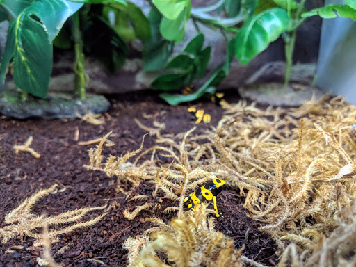 Pet Supply Store «Petco Animal Supplies», reviews and photos, 3300 Broadway St, Eureka, CA 95501, USA