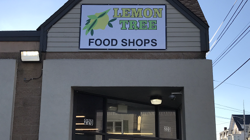Lemon Tree Food Shops