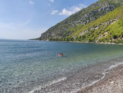 Foto von Dafni of Evia beach wilde gegend