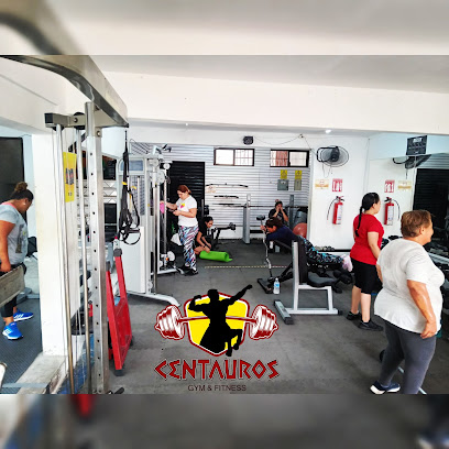 Centauros Gym & Fitness - bis con, 55 av norte, Calle 16 Nte, 10 de Abril, 77622 San Miguel de Cozumel, Q.R., Mexico