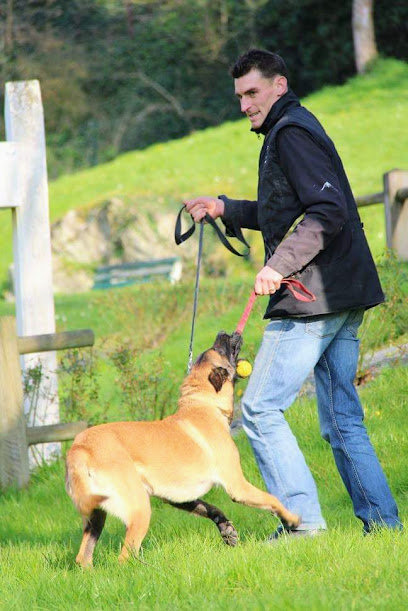 Éducateur canin Master and Dog
