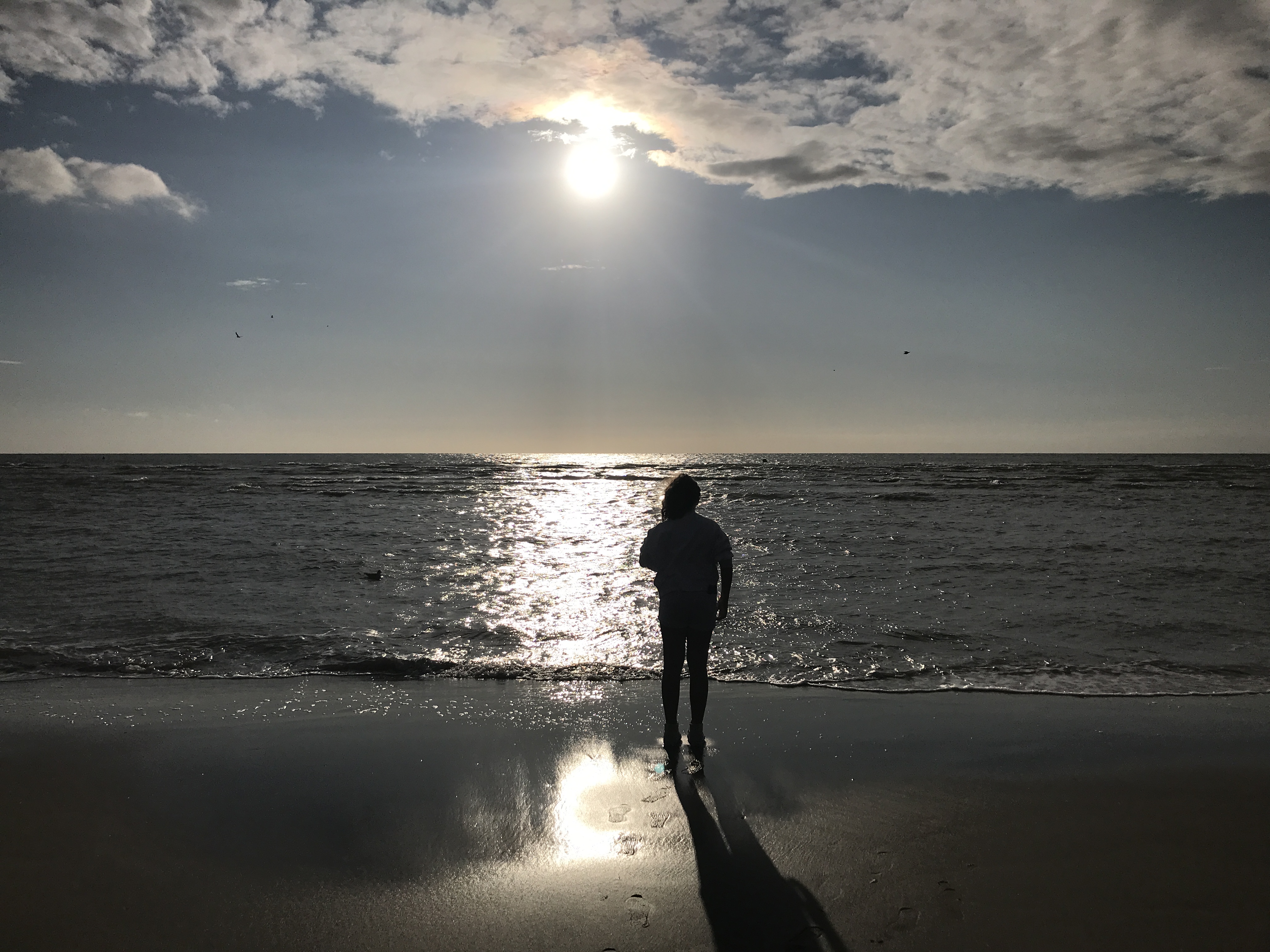Photo n° 1 de l'avis de Cécile.o fait le 11/09/2021 à 20:37