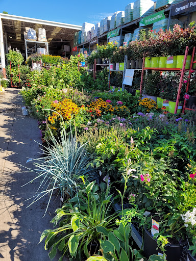 Home Improvement Store «The Home Depot», reviews and photos, 3051 E Main St, Mohegan Lake, NY 10547, USA