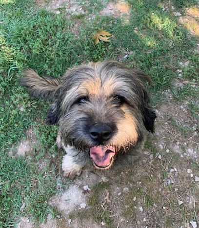 Residència Canina Campdorà