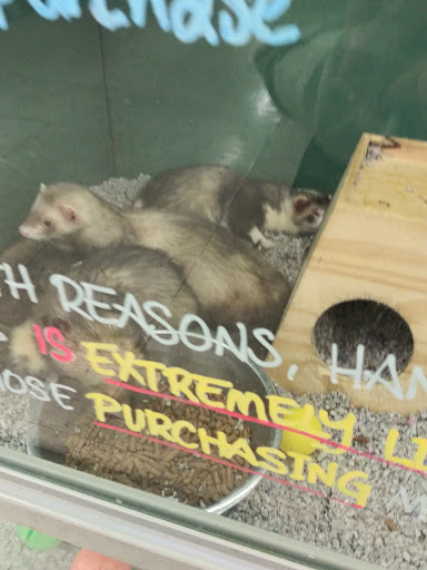 Pet Store «Petsway», reviews and photos, 1717 W Kearney St, Springfield, MO 65803, USA