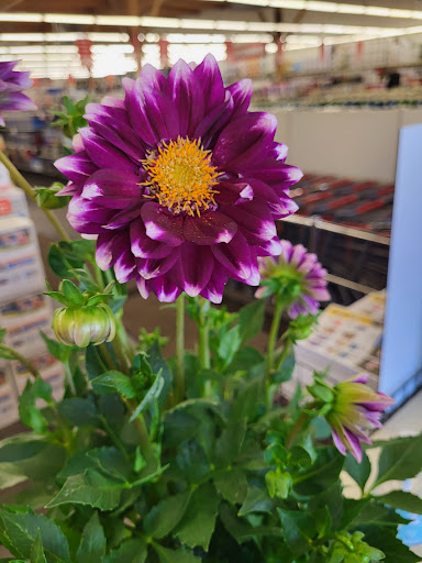 Department Store «Bi-Mart», reviews and photos, 1680 W 18th Ave, Eugene, OR 97402, USA