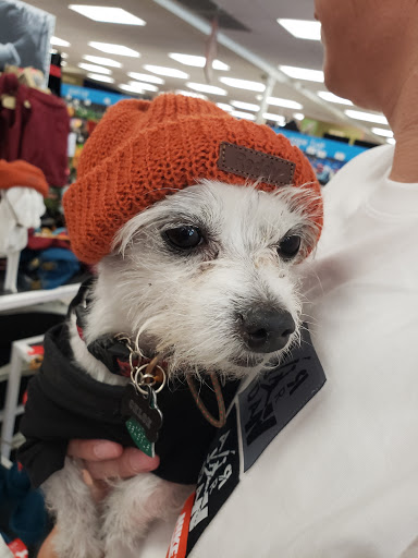 Pet Supply Store «Petco Animal Supplies», reviews and photos, 1919 El Camino Real, Mountain View, CA 94040, USA