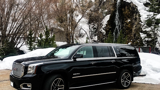 Black Diamond Limousine LLC.