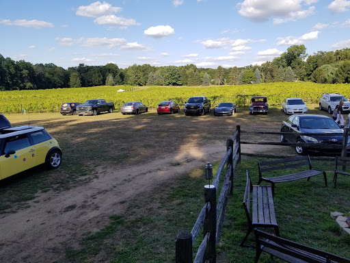 Winery «Flying Otter Winery», reviews and photos, 3402 Chase Rd, Adrian, MI 49221, USA