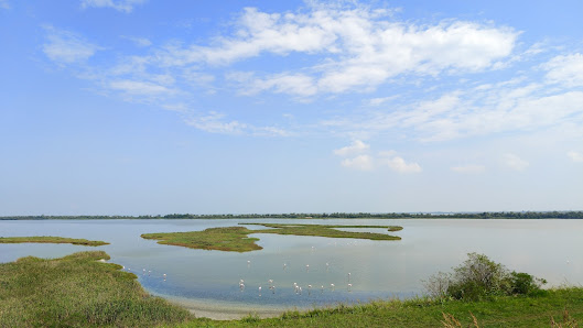 Valli di Comacchio Valli Di, Comacchio FE, Italia