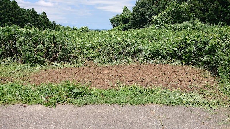 藤島エコ有機センター