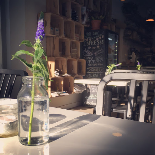 New American Restaurant «Moss Café», reviews and photos, 3260 Johnson Ave, Bronx, NY 10463, USA