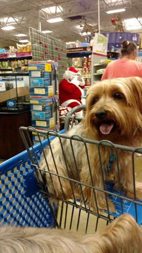 Pet Supply Store «PetSmart», reviews and photos, 380 S State Rd 434, Altamonte Springs, FL 32714, USA