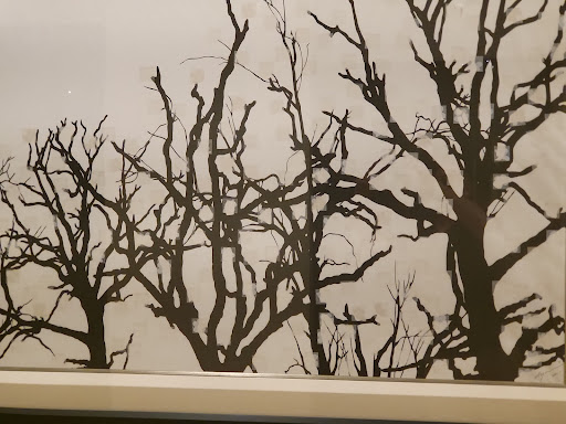 Museum «Musical Instrument Museum», reviews and photos, 4725 E Mayo Blvd, Phoenix, AZ 85050, USA