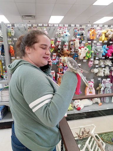 Pet Store «Petland», reviews and photos, 920 Hebron Rd, Heath, OH 43056, USA