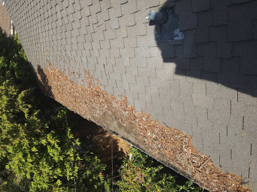 Skyview gutter cleaning