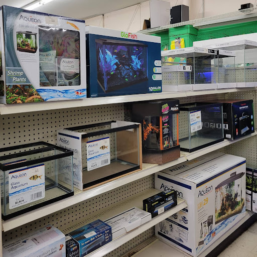 Pet Store «Coral Reef Pet Center», reviews and photos, 7723 W Lawrence Ave, Norridge, IL 60706, USA