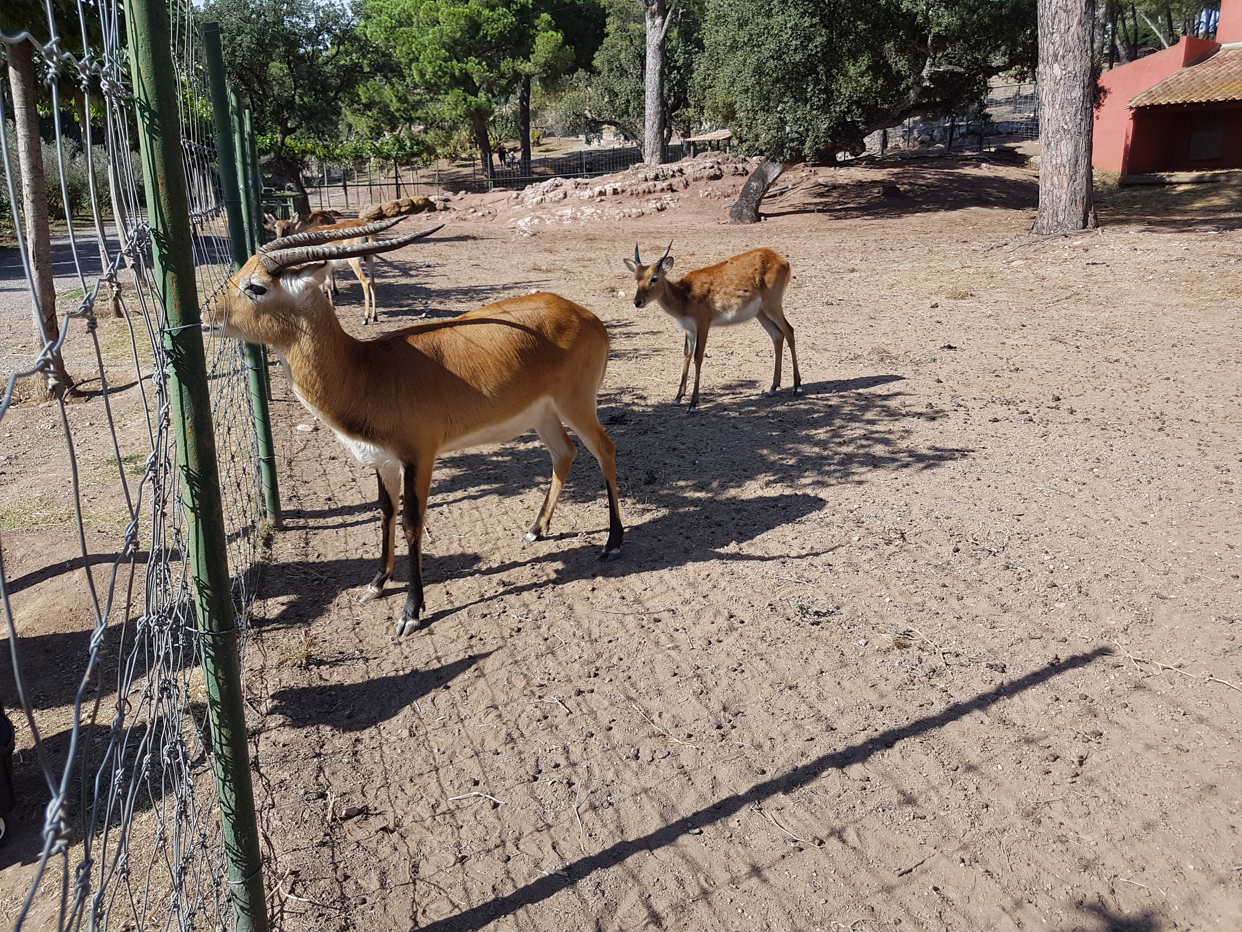 Photo n° 29 de l'avis de Armand.A fait le 09/09/2018 à 19:52
