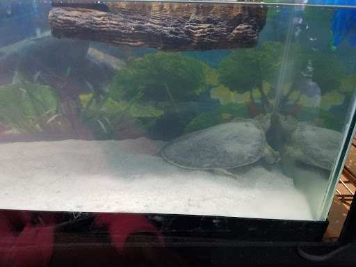 Auto Parts Store «Advance Auto Parts», reviews and photos, 1001 E Black Horse Pike, Pleasantville, NJ 08232, USA