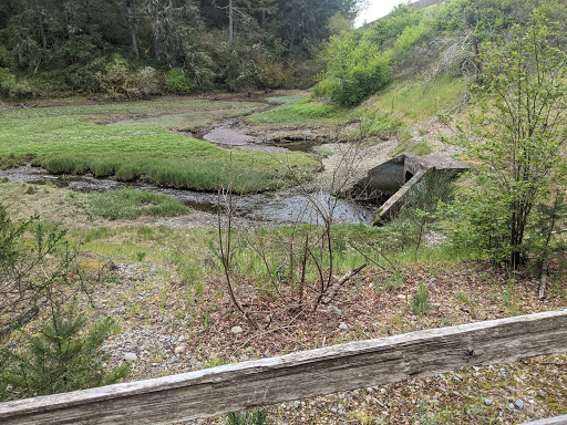 Golf Course «The Home Course», reviews and photos, Golf House Rd, DuPont, WA 98327, USA
