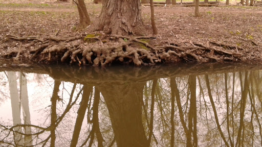 Park «Coon Rapids Dam Regional Park», reviews and photos, 10360 W River Rd, Brooklyn Park, MN 55444, USA