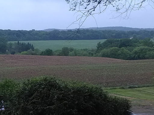 Winery «Wild Mountain Winery», reviews and photos, 16906 Wild Mountain Rd, Taylors Falls, MN 55084, USA