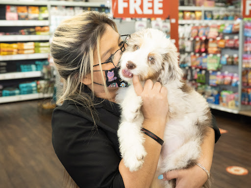 Pet Supply Store «Petland Tyler», reviews and photos, 4512 S Broadway Ave, Tyler, TX 75703, USA