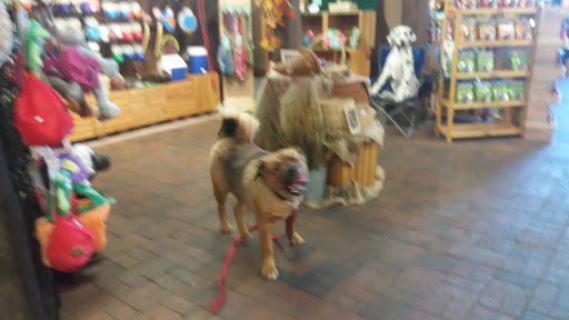 Pet Supply Store «Appalachian Tails Pet Company», reviews and photos, 119 Griswold St, Glastonbury, CT 06033, USA