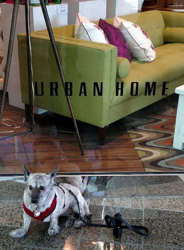 Furniture Store «Urban Home», reviews and photos, 400 S Baldwin Ave, Arcadia, CA 91007, USA