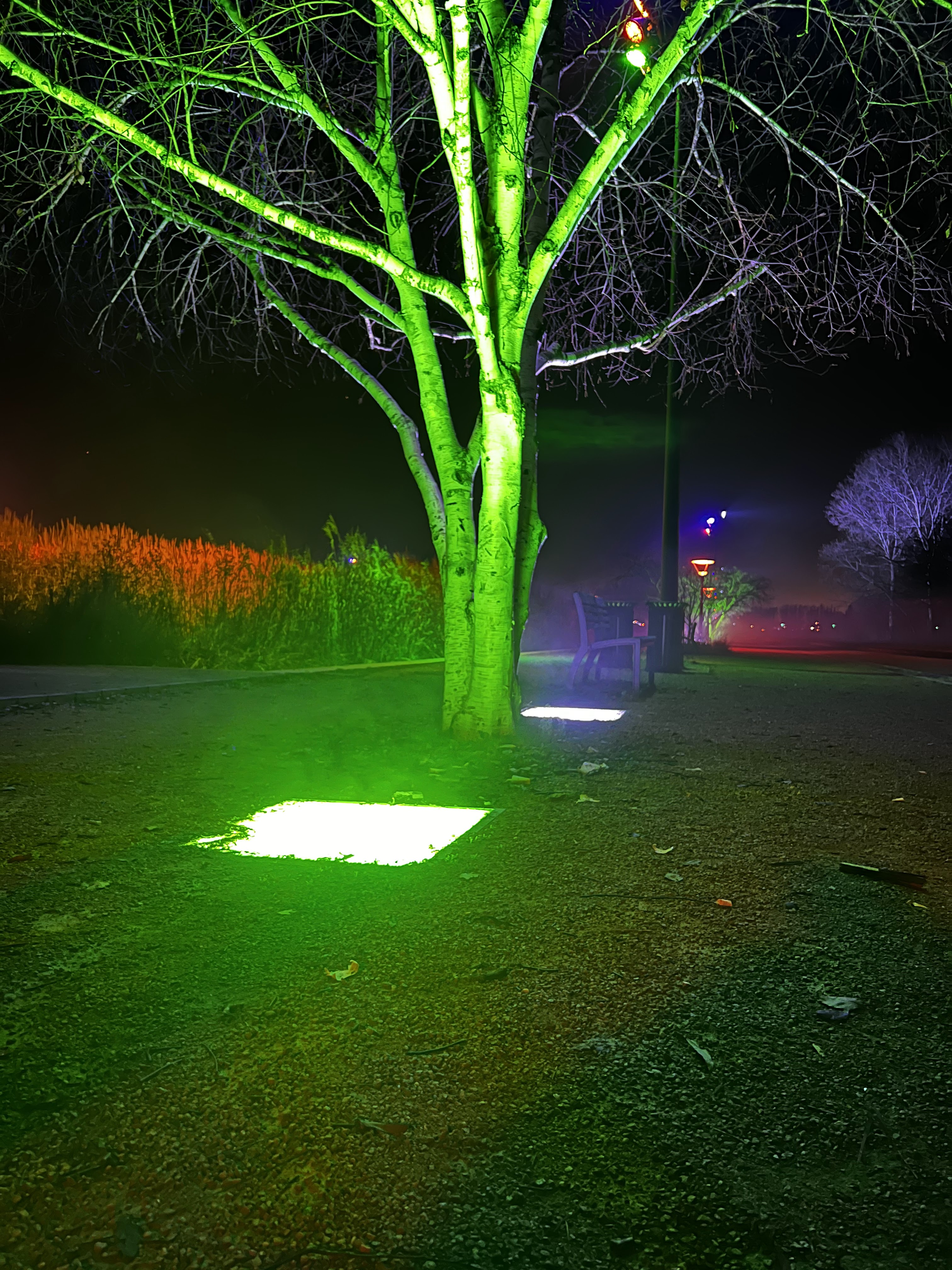 Photo n° 1 de l'avis de Sébastien.o fait le 21/03/2022 à 19:08