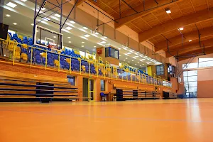 Sports hall in Gołuchów image