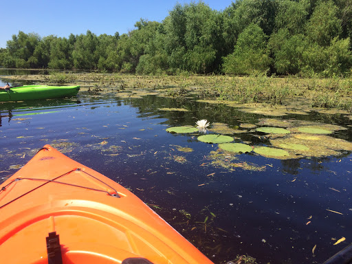 Nature Preserve «LLELA Nature Preserve», reviews and photos, 201 E Jones St, Lewisville, TX 75057, USA