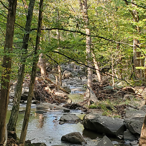 Park «Runnymede Park», reviews and photos, 195 Herndon Pkwy, Herndon, VA 20170, USA