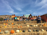 Spring Hill School - Photo 3 - Car repair in Santa Cruz, CA, Santa Cruz