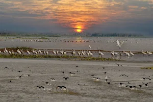 Beas Conservation Reserve image