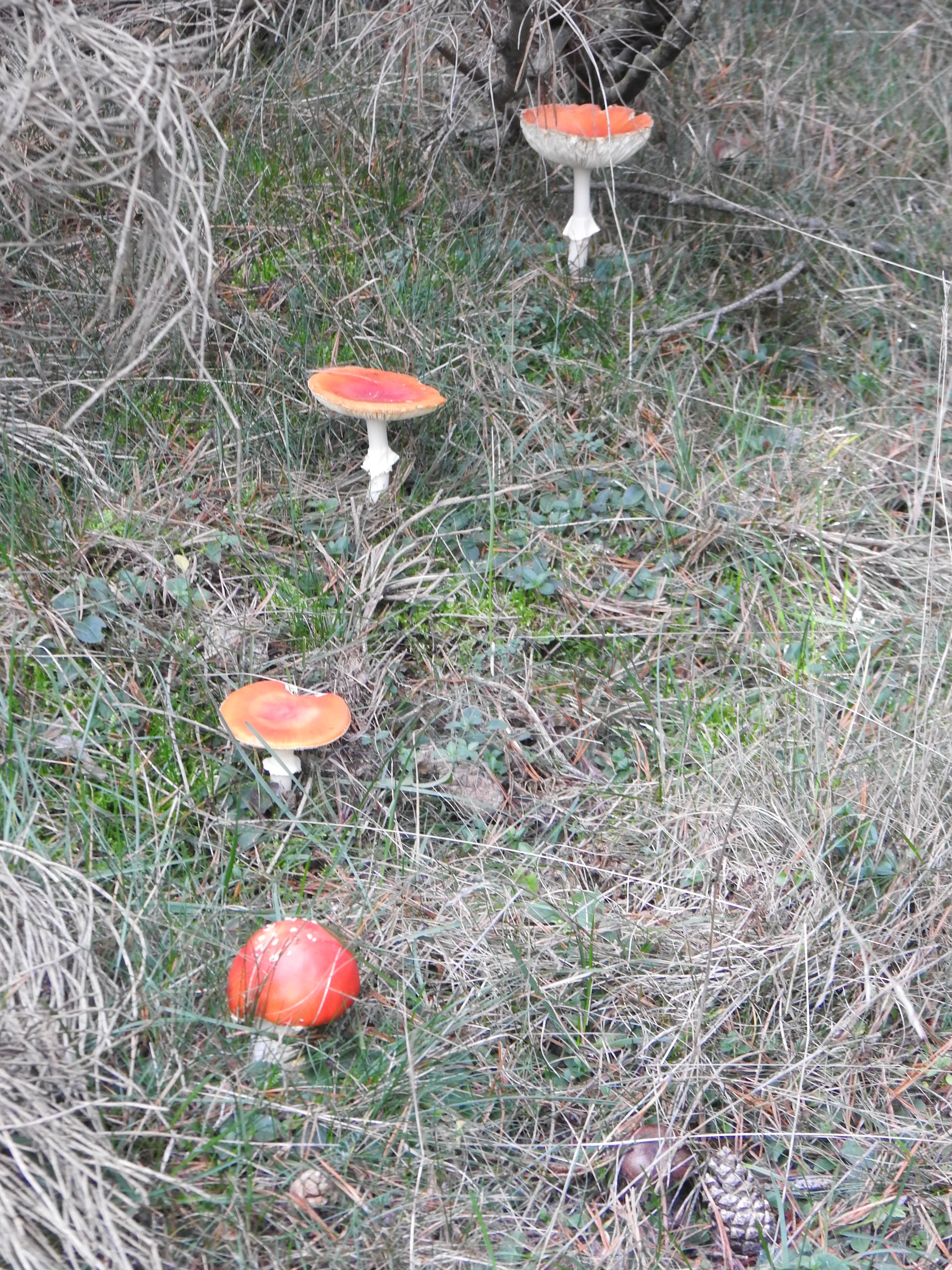 Photo n° 21 de l'avis de gerd.a fait le 11/11/2022 à 11:12