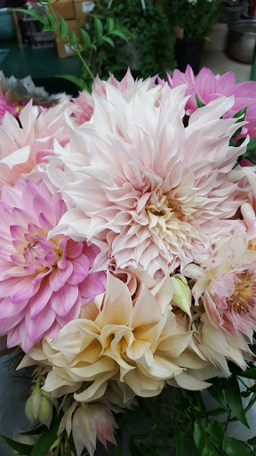 Florist «Countryside Floral & Garden», reviews and photos, 1420 NW Gilman Blvd #1, Issaquah, WA 98027, USA