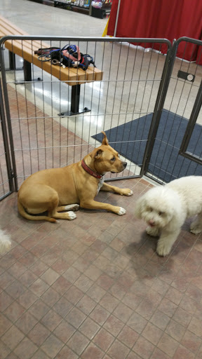 Pet Supply Store «Pet Food Express», reviews and photos, 9153 W Olympic Blvd, Beverly Hills, CA 90212, USA