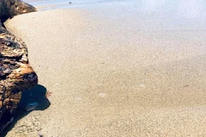 Playa de Guzmancito image