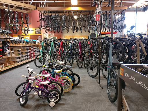 Camping Store «REI», reviews and photos, 2225 Harvard Way, Reno, NV 89502, USA