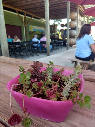 Winery «Arcane Cellars Winery», reviews and photos, 22350 Magness Rd NW, Salem, OR 97304, USA